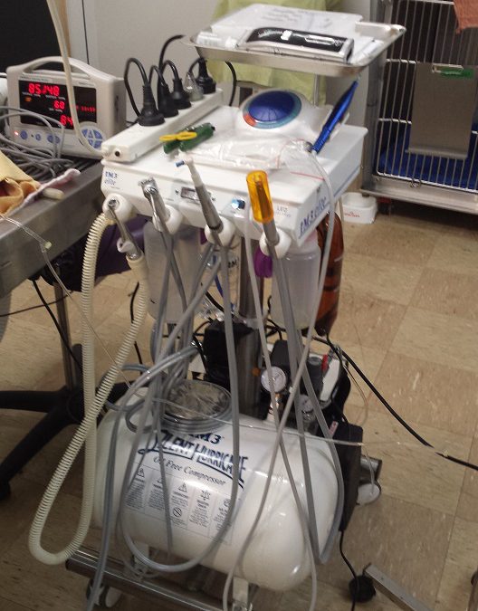 Dental equipment