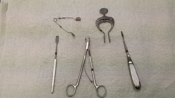 Guinea Pig Dental Equipment
