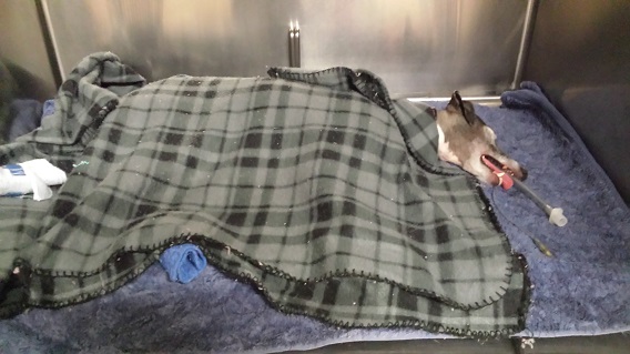 Post-op care