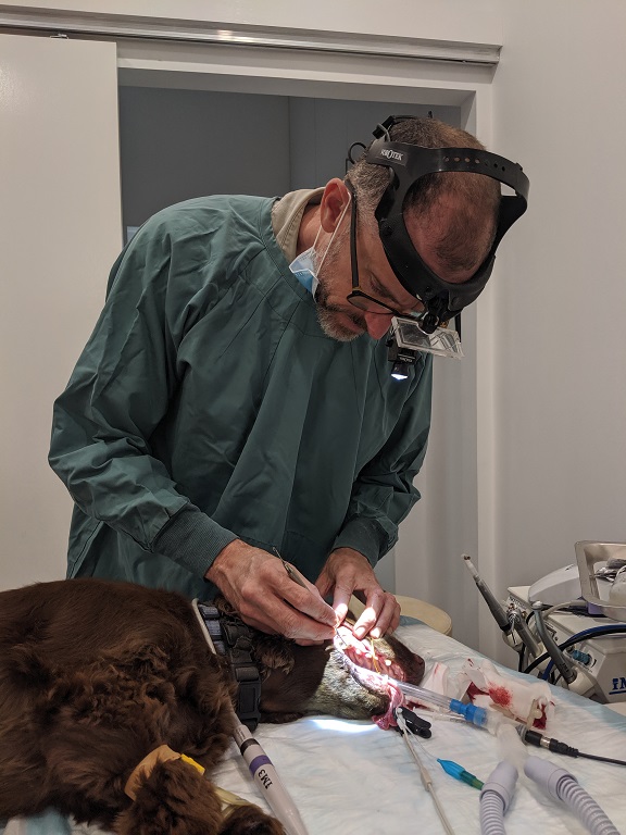 Routine Dentisty